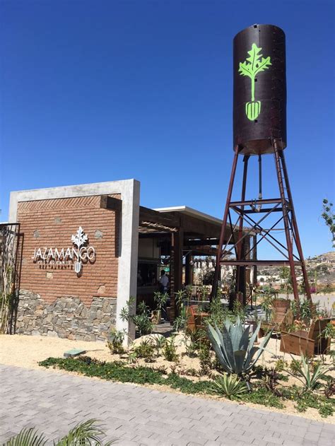 tripadvisor todos santos